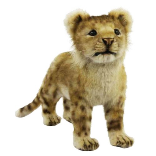 Hansa standing lion cub - hansa,