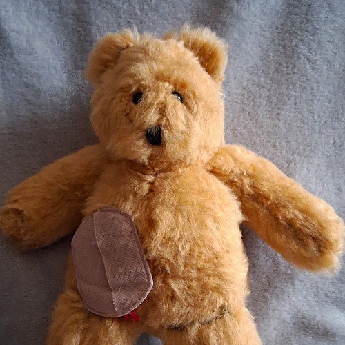 Canterbury bears handmade - canterbury,