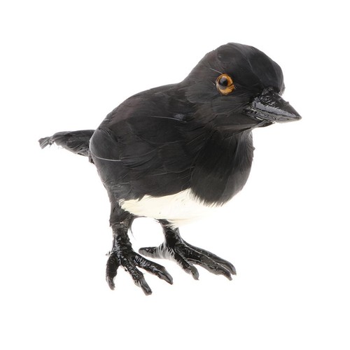Magpie statue simulation - magpie,