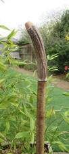 HAND CRAFTED HAZEL STAGSHORN ANTLER HIKING/WALKING STICK  48 " LONG