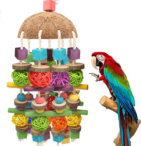 Large bird parrot chewing - large,