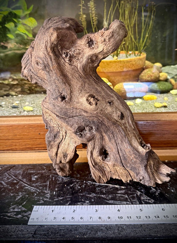 Chunky aquarium driftwood - aquarium,