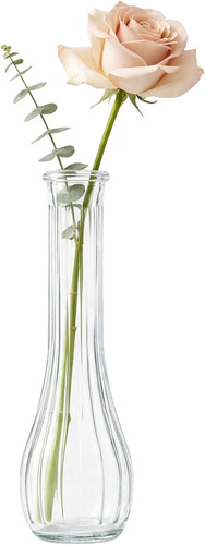 Clear glass vase single - vase,