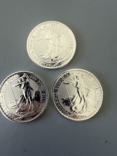 Silver 2018 dog privy - 2018, edge