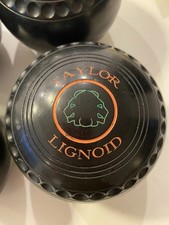 Taylor Lignoid Indoor/Outdoor