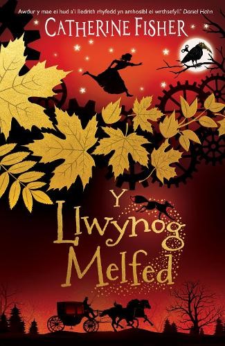 Llwynog melfed fisher - y,