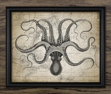 Octopus on an Antique Nautical
