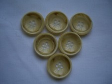 CREAM / BROWN TORTOISESHELL