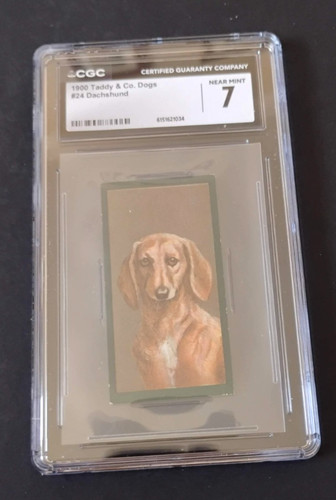 1900 taddy dogs 24 - -, #24