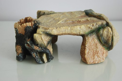 Medium rock tree stump - tree, cave