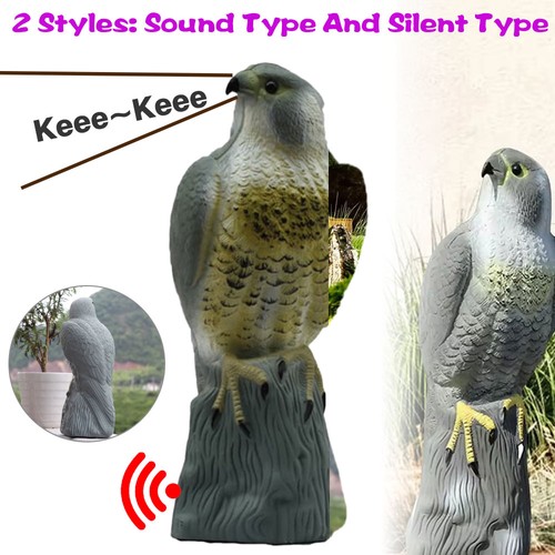 Large falcon bird deterrent - falcon,