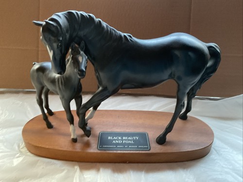 Black beauty and - black, foal