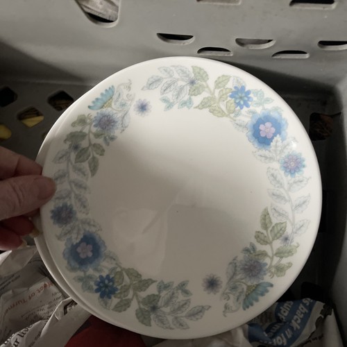 Wedgwood china clementine - china,