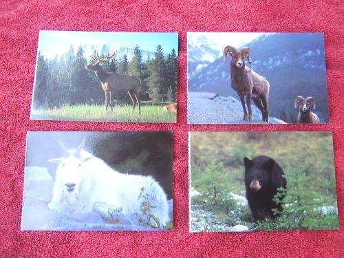 Four canadian postcards - four,