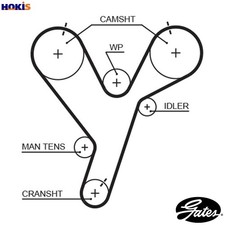 TIMING BELT 5446XS FOR