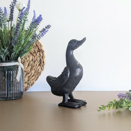 Cast iron duck garden - garden, ornament