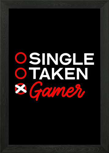 Gamer funny gaming video - gamer,