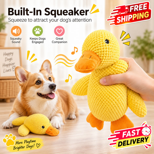 Pet duck dog toy plush - plush, squeaky