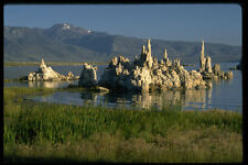 380075 Calcium Carbonate Tufa Mono Lake CA A4 Photo Print