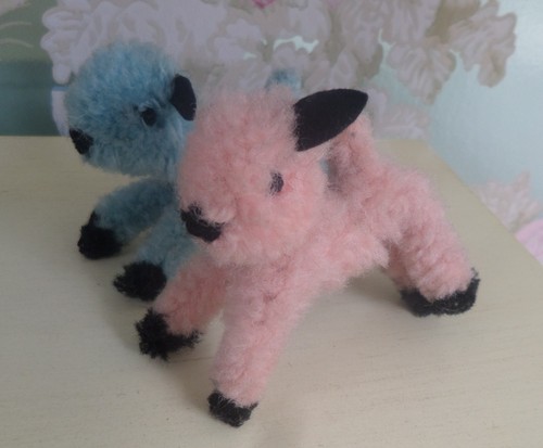 Two old tiny - tiny, lambs