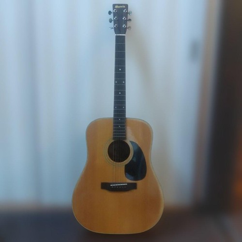 Morris 1970s mij acoustic - w-18,