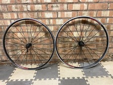 Bontrager TLR Road Bike