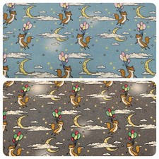 Flying Fox with Balloons -