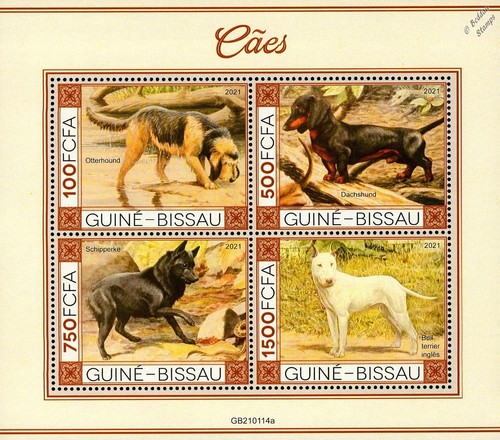 DOGS