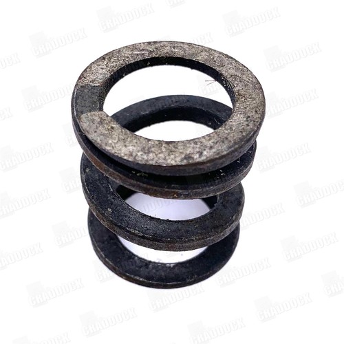 Swivel pin bearing spring - pin,