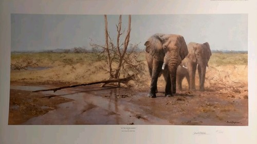 David shepherd the - in,
