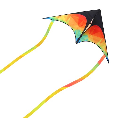 Colourful delta kite - colourful, for