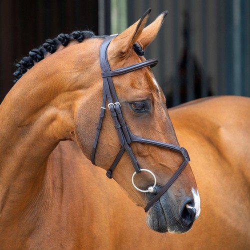 Shires velociti lusso grackle - lusso,