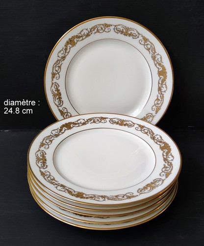 Large porcelain dinner - 6,
