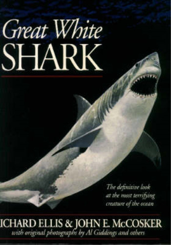 Great white shark ellis - shark,,