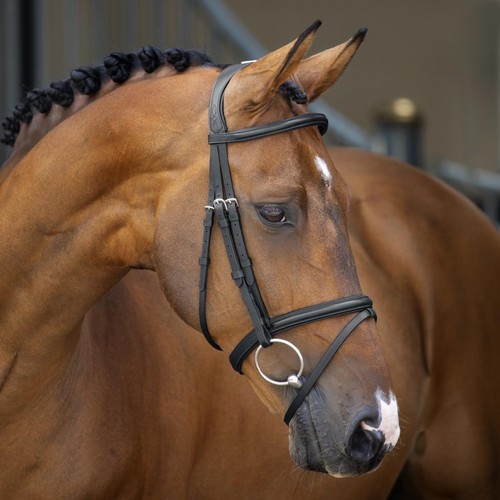 Shires velociti rapida - rapida, padded