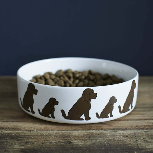Sweet william dog bowl for - sweet,