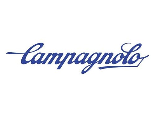 Campagnolo pista crank - campagnolo,