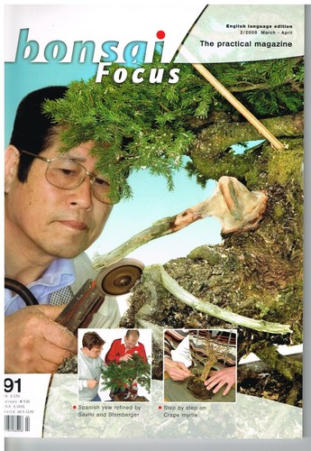 Bonsai focus march - focus, april