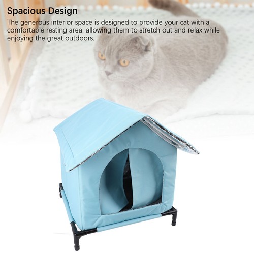 Outdoor cat house - cat, winter