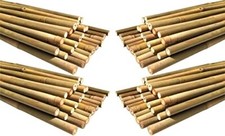 100 Pack 4FT Natural Bamboo