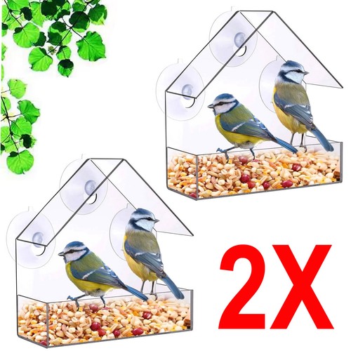 Glass window bird - bird, feeder