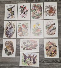 RSPB Birds In Bloom 12 Prints
