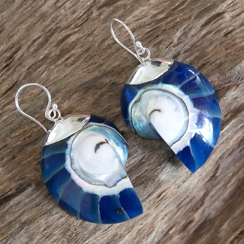 Blue nautilus shell earrings - nautilus,
