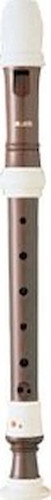 Rhythm band aulos piece - rhythm,