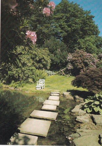 Chartwell golden orfe - golden,