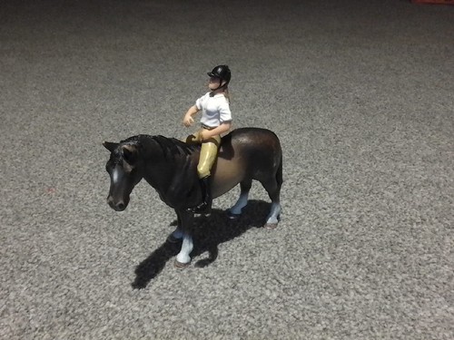 Schleich horse and rider