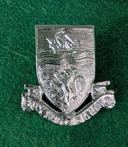 Obsolete police collar - ,