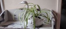 Vintage Large White Ceramic