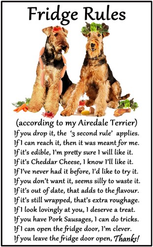 Airedale terrier gift - terrier,