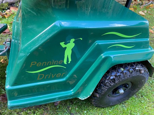 Golf cart electric buggy - golf,
